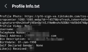 tiktok profile info txt tiktok profile info.txt